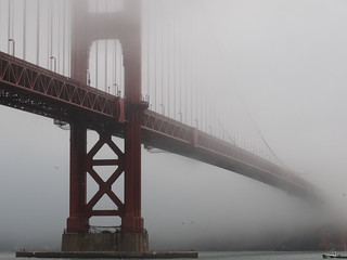 Golden gate in the fog