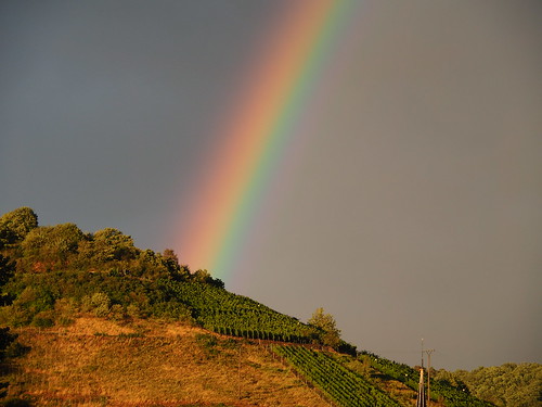 travel sunset germany rainbow europe olympus vineyards moselle rivercruise m43 em10
