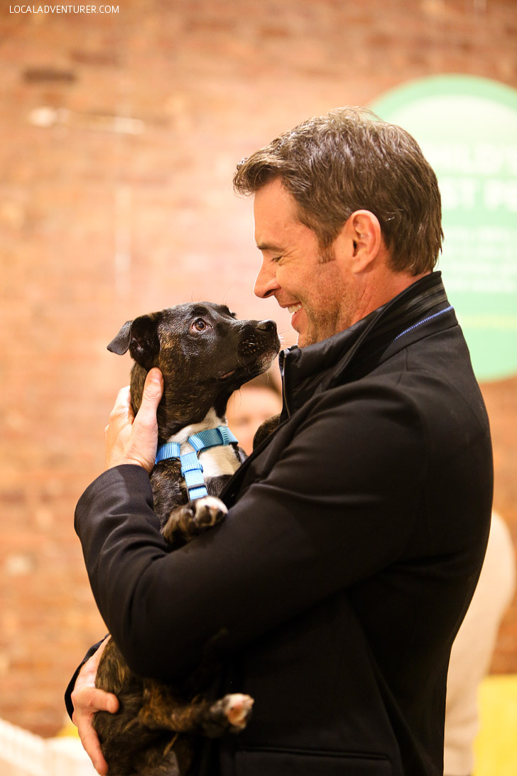 Swiffer + Puppy Adoptions + Scott Foley in NYC.