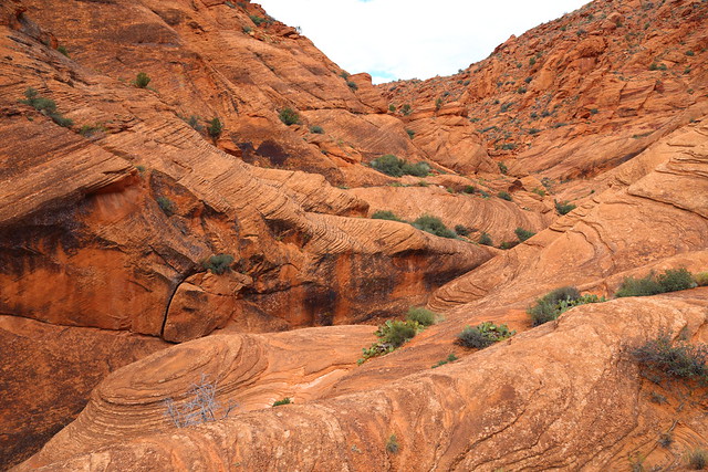 IMG_7688 Red Cliffs Recreation Area