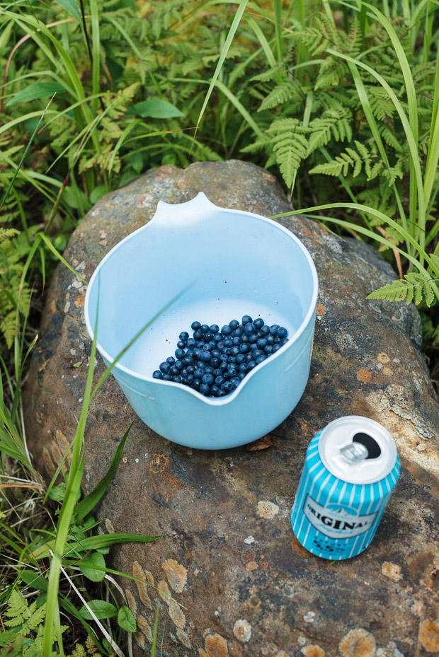 Blueberries and GLD, Finland | Sarka Babicka Photography