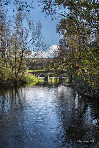 river anner suir clonmel ireland reflection colour sky november autumnal autumn foliage senic trees bridge