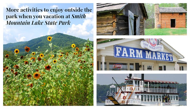 So much to do in and outside the park at Smith Mountain Lake State Park, Virginia