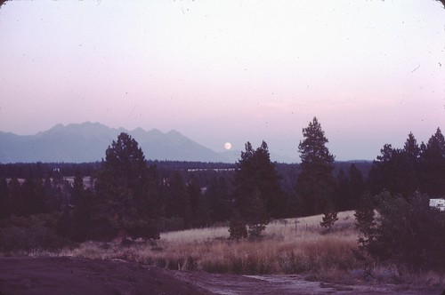 summer moonrise 1981 steeplesview