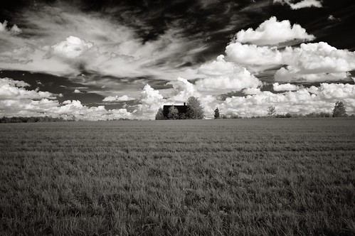 blackandwhite monochrome field clouds rural landscape mono sony country northcarolina piedmont latesummer blancetnoir canonfdlens nexf3