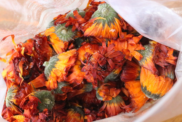 Natural Dyeing with Marigolds
