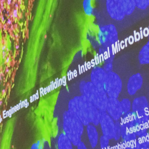 Loving the Microbiome Symposium