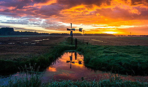 morning sky orange reflection netherlands windmill sunrise fence landscape dawn canal geese gate purple delft grassland hff sundawn middendelfland nederlandvandaag