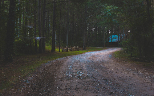 road trees color green forest cabin outdoor empty sony creepy a6000