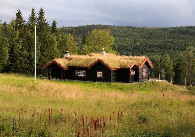 Норвежские мохнатые домики и ставкирки. август 2013
