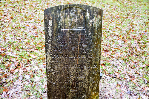 cemetery alabama jefferson larrybell marengocounty jeffersoncemetery larebel larebell