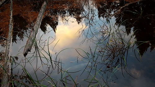 wetland kitsappeninsula trail flood sunset grass lake cloudsstormssunsetssunrises minimalism