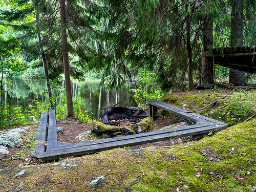 natur sverige familj sommar landskap lingbo ockelbo gävleborgslän olympusomdem5 mzuikodigitaled1240mmf28 ekbofäbodar säljsjön