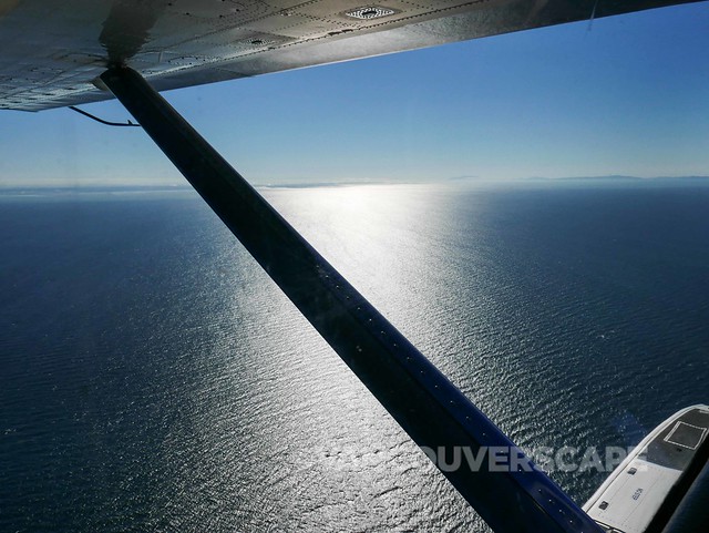 On Harbour Air to Victoria