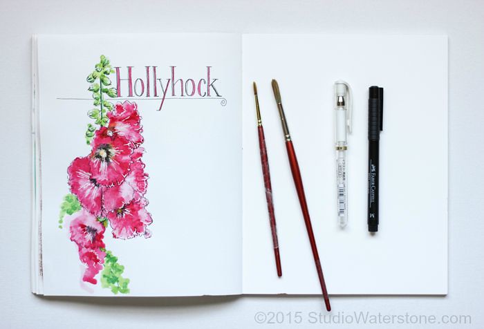 Sketchbook: Hollyhock
