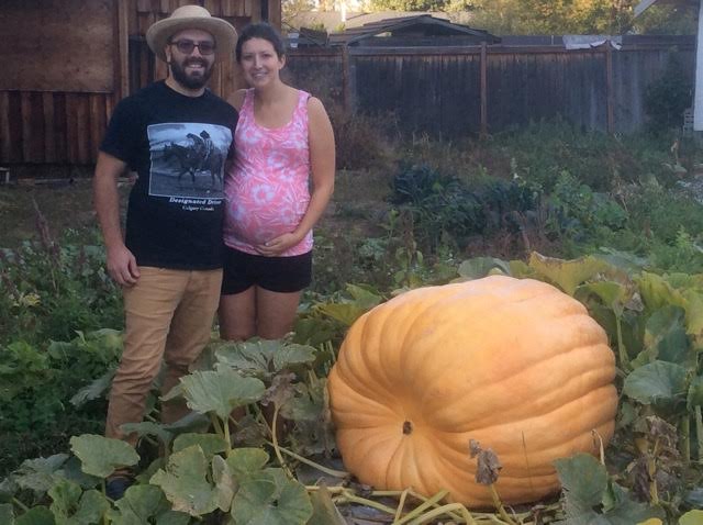 Growing a pumpkin