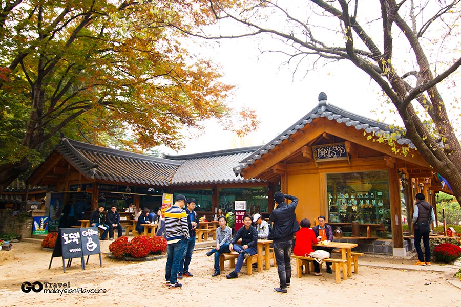 14 things to Do in nami island south korea seoul