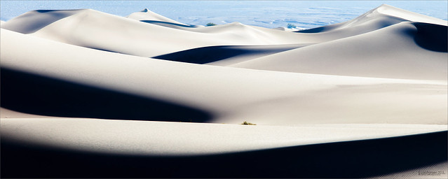 Mesquite dunes.