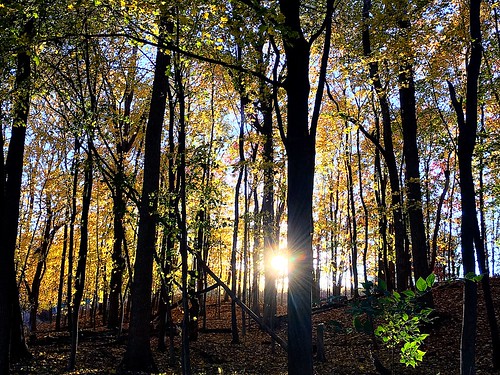 november autumn fall nature colors forest michigan romeo stonycreek 2015