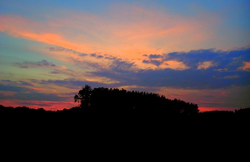 trees sunset sky clouds sundown nightfall