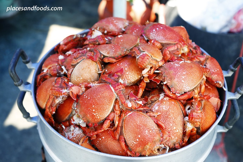phuket spanner crabs