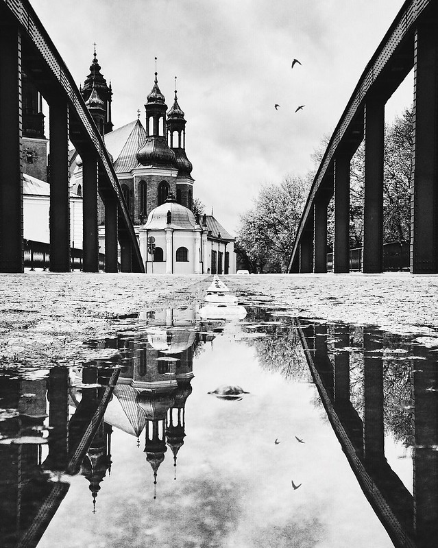 City of puddles II
