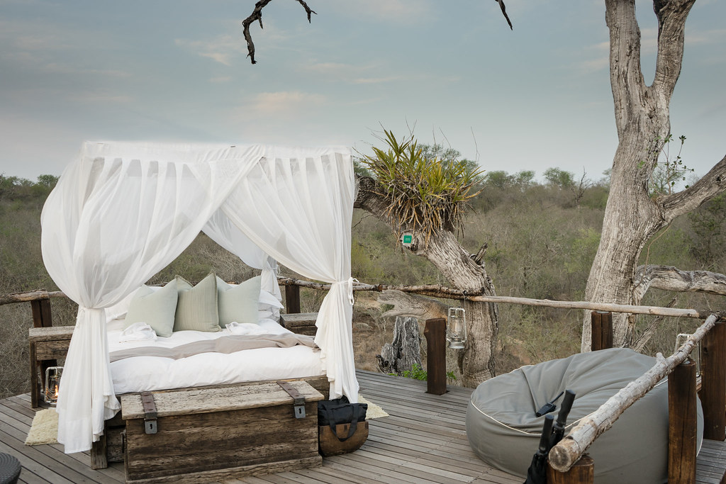 Lion Sands Game Reserve - Feel Real Pleasure at Such Unrealistic And Unusual Place