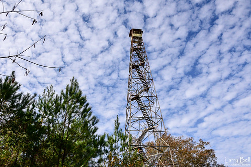 us unitedstates alabama lookouttower monroecounty repton larrybell oldstageroad larebel larebell wildforklookouttower southernphotosoutlookcom