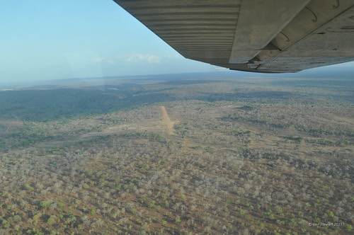 tanzania flight aerial selous