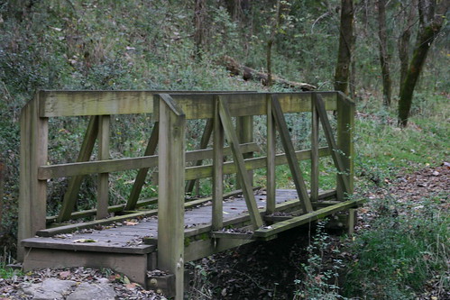 bridge trees woods trail