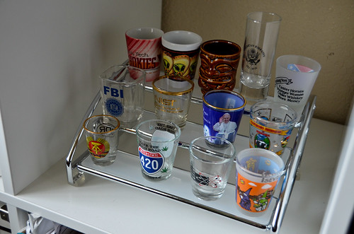 Inappropriate Shot Glass Collection