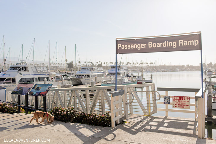 Island Packers Ventura - Santa Cruz Island Ferry.