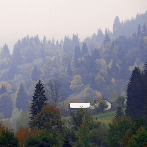 autumn fall colors fog landscape romania toamna peisaj suceava