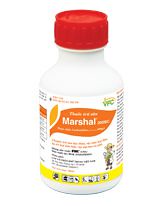 marshal - b