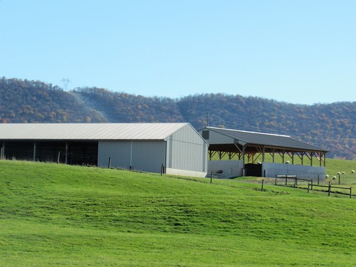 pennsylvania rural barn farm grazing sheep hillside pastoral agriculture