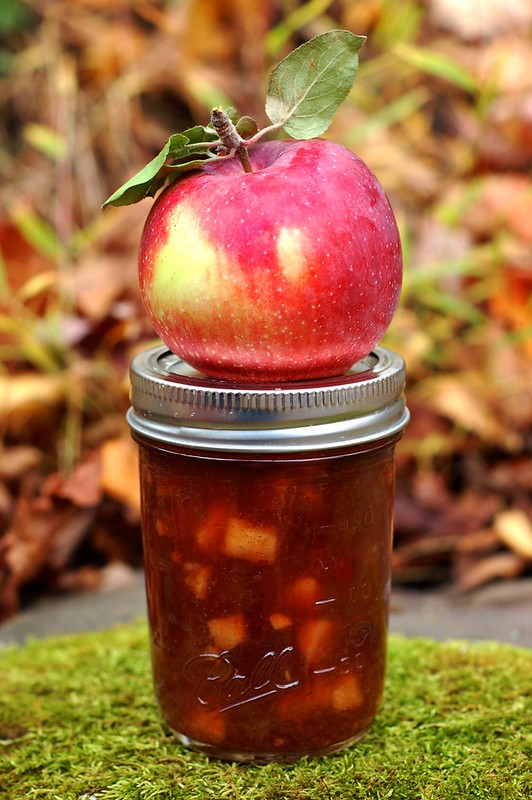 Apple Rhubarb Chutney by Eve Fox, Garden of Eating blog, copyright 2011