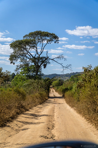 minasgerais brasil br natur brasilien orte baum weg piste formiga ortschaften länder strase fazendavelha