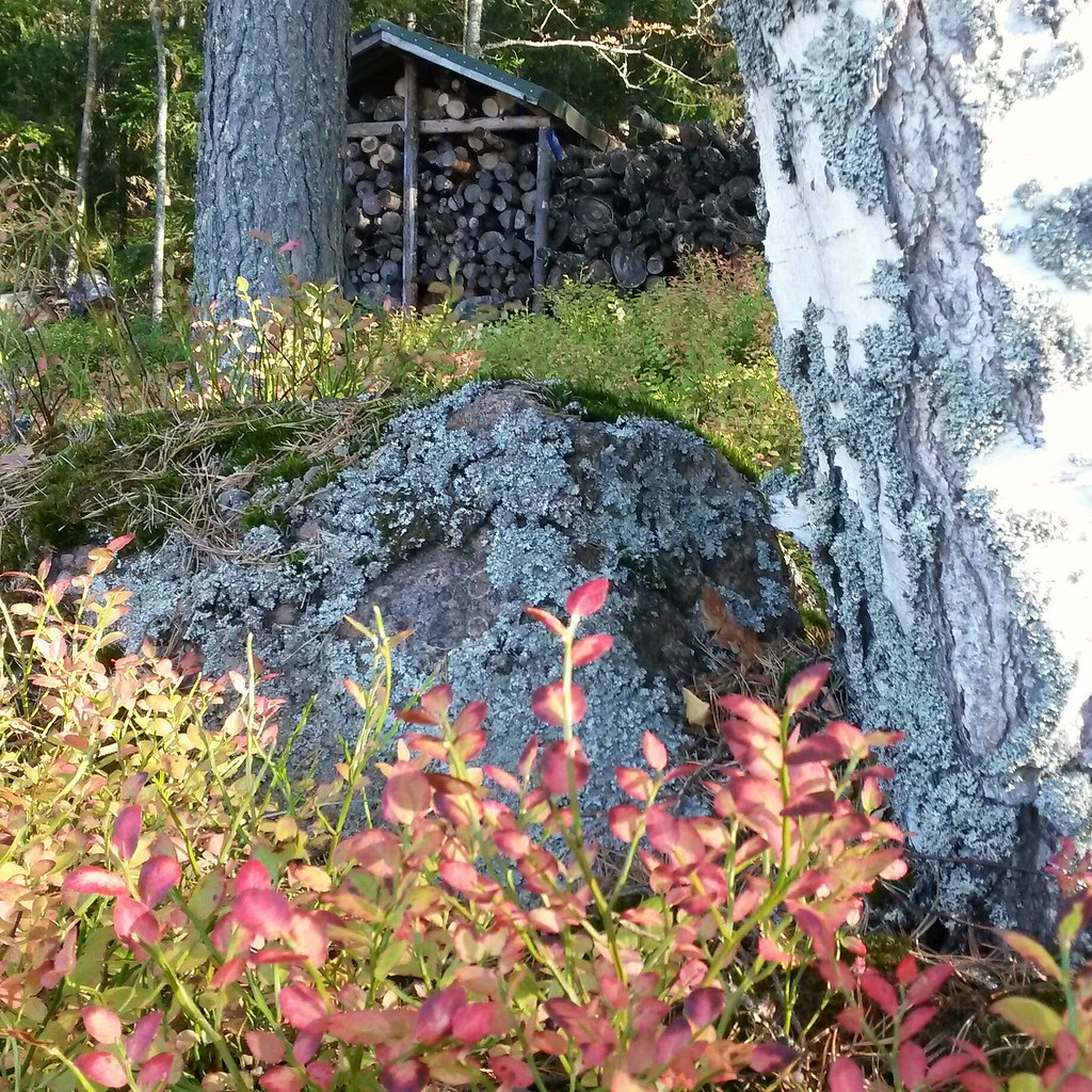 Luumäki, Suomi