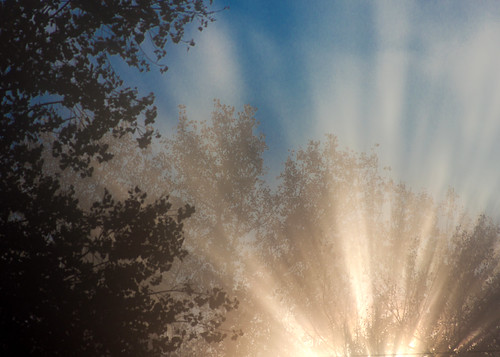 park morning autumn sun tree english fog sunrise dawn mo landing missouri cottonwood rays parkville crepuscular