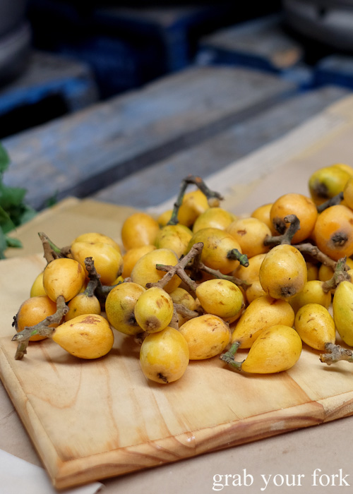 Wild loquats at the Feral Party by Pinbone at Young Henrys for Good Food Month 2015