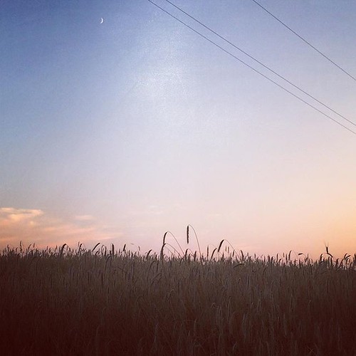 sunset sky moon austria fields stang uploaded:by=flickstagram instagram:photo=103420580155860431515150797 instagram:venuename=kirchschlag instagram:venue=492941215