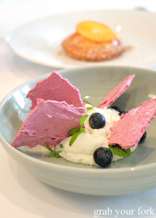 Coconut mousse, blueberries and plum meringue by Pilu at Freshwater, Sydney