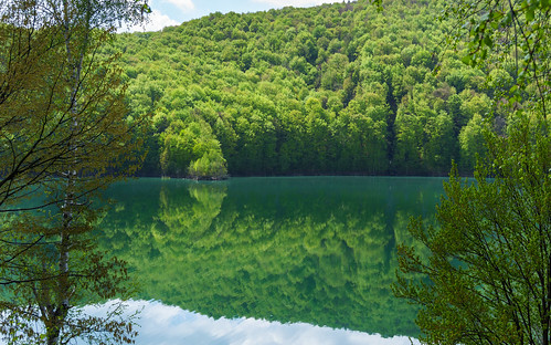 lake green forest landscape spring romania valea doftanei