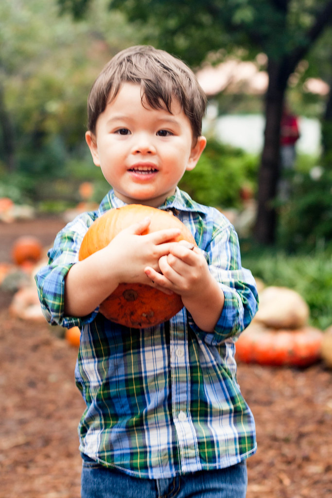 cute & little blog | pumpkin patch