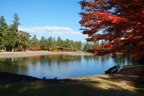 autumn japan hiraizumi koyo motsuji oizumigaikepond