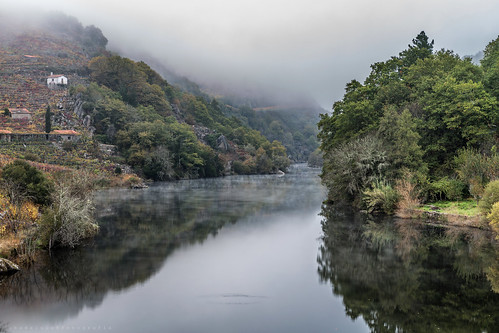 autumn reflection rio fog landscape paisaje galicia reflejo otoño belesar chantada lugo niebla canonef2470mmf28lusm ribeira manfrotto ribeirasacra eos6d ríomiño canoneos6d