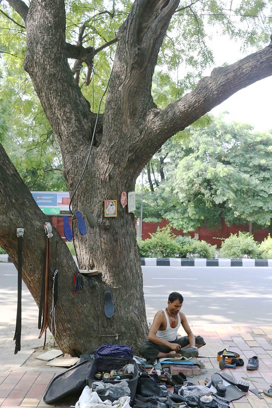 City Nature - Bachchan Dev Ram's Neem Tree, Lodhi Tree