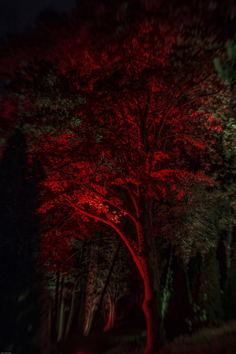 park light red art nature night lensbaby forest finland river landscape photography colorful long exposure sweet kari kola 35 puu luonto yö valo ranta kouvola punainen joki taide kymi kuusankoski värikäs pitkä valotus valotaiteilija