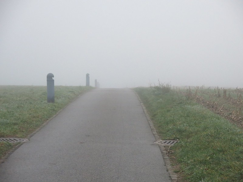 Walk in the mist Feldbrunnen