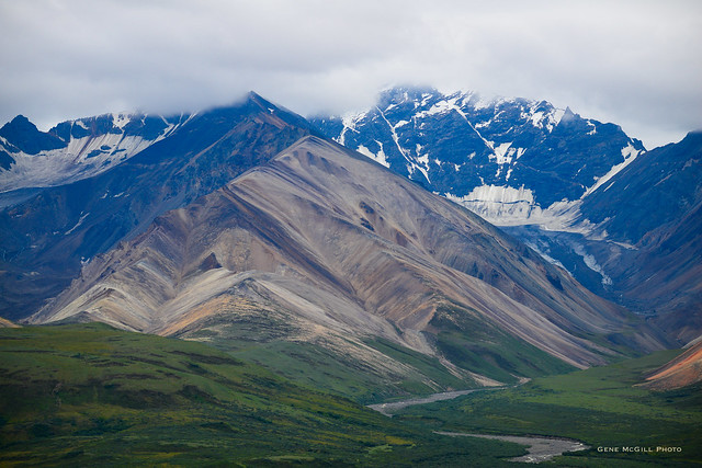 Alaska Range near Polychrome Pass